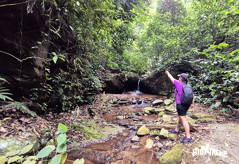 Tijuca National Park