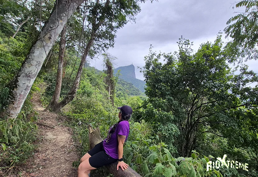 Tijuca National Park