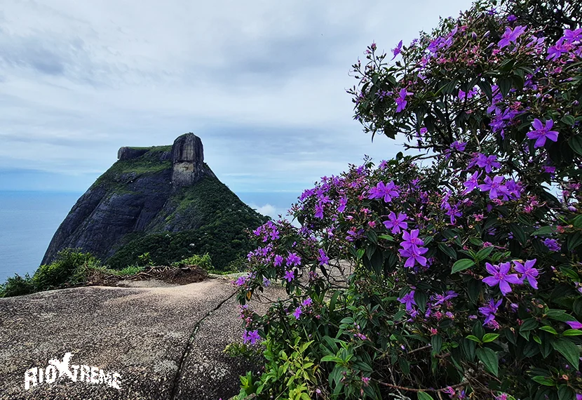Pedra Bonita - Tijuca Forest